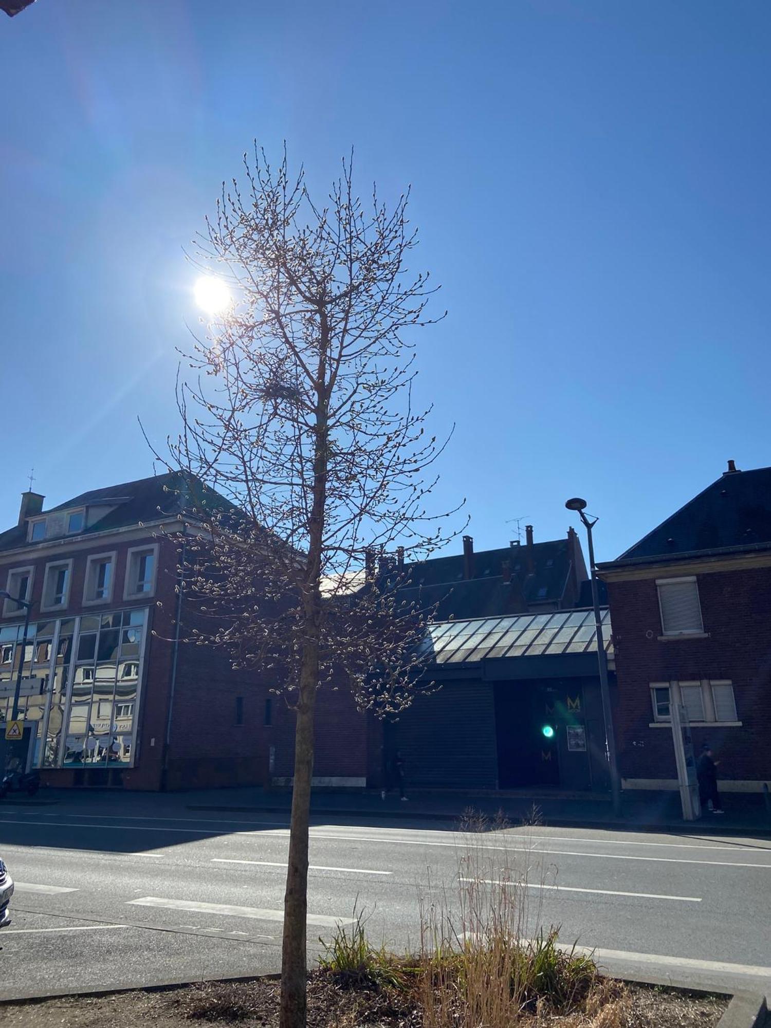 2 Chambres Hyper Centre Avec Place De Parking Et Wifi Amiens Exterior foto